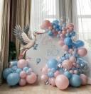 Stork Arrival Gender Reveal - photo 1