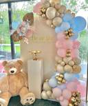 Gender Reveal Backdrop - photo 1