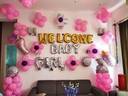 Pretty in Pink Baby Girl Welcome Setup - photo 1