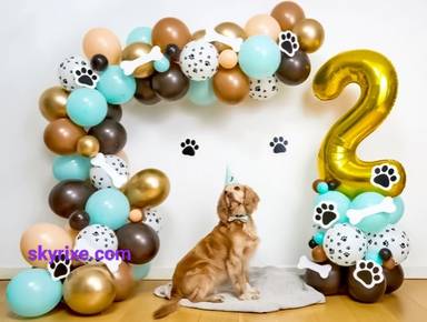 Woof And Wag Pet Birthday Arch with Age Column