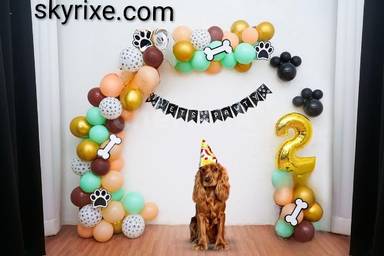 Pawfect Pup Birthday Balloon Arch Setup
