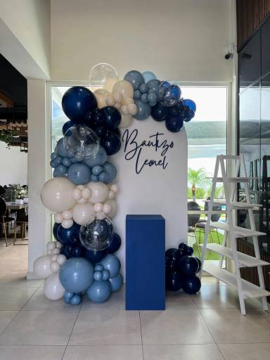 Balloon Arch Backdrop