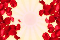 Rose Petals (1 kg)