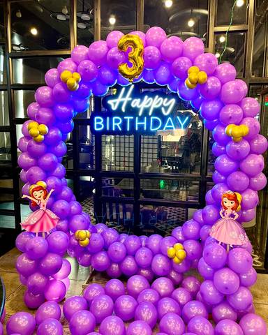Princess Sofia Themed Birthday Balloon Arch
