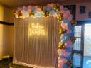 Elegant Baby Shower Backdrop - photo 1