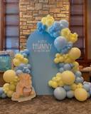 A Little Hunny is on the Way - photo 1