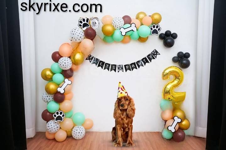 Pawfect Pup Birthday Balloon Arch Setup - Image 1