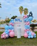 Boy or Girl Gender Reveal Balloon Backdrop - photo 1