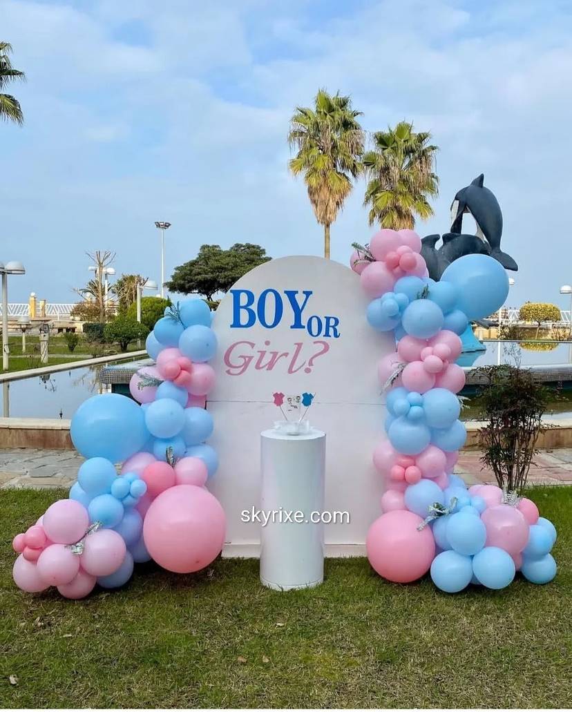 Boy or Girl Gender Reveal Balloon Backdrop - Image 1